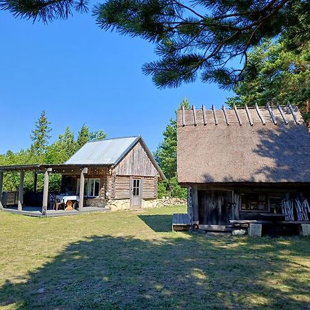 Hotel Intsu Suvemaja Liiva  Zewnętrze zdjęcie