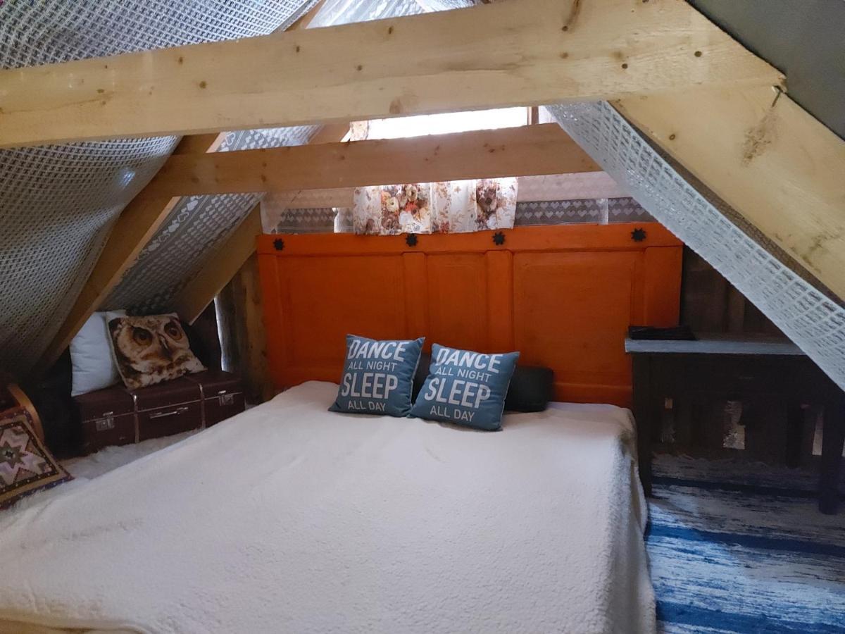 Hotel Intsu Suvemaja Liiva  Zewnętrze zdjęcie