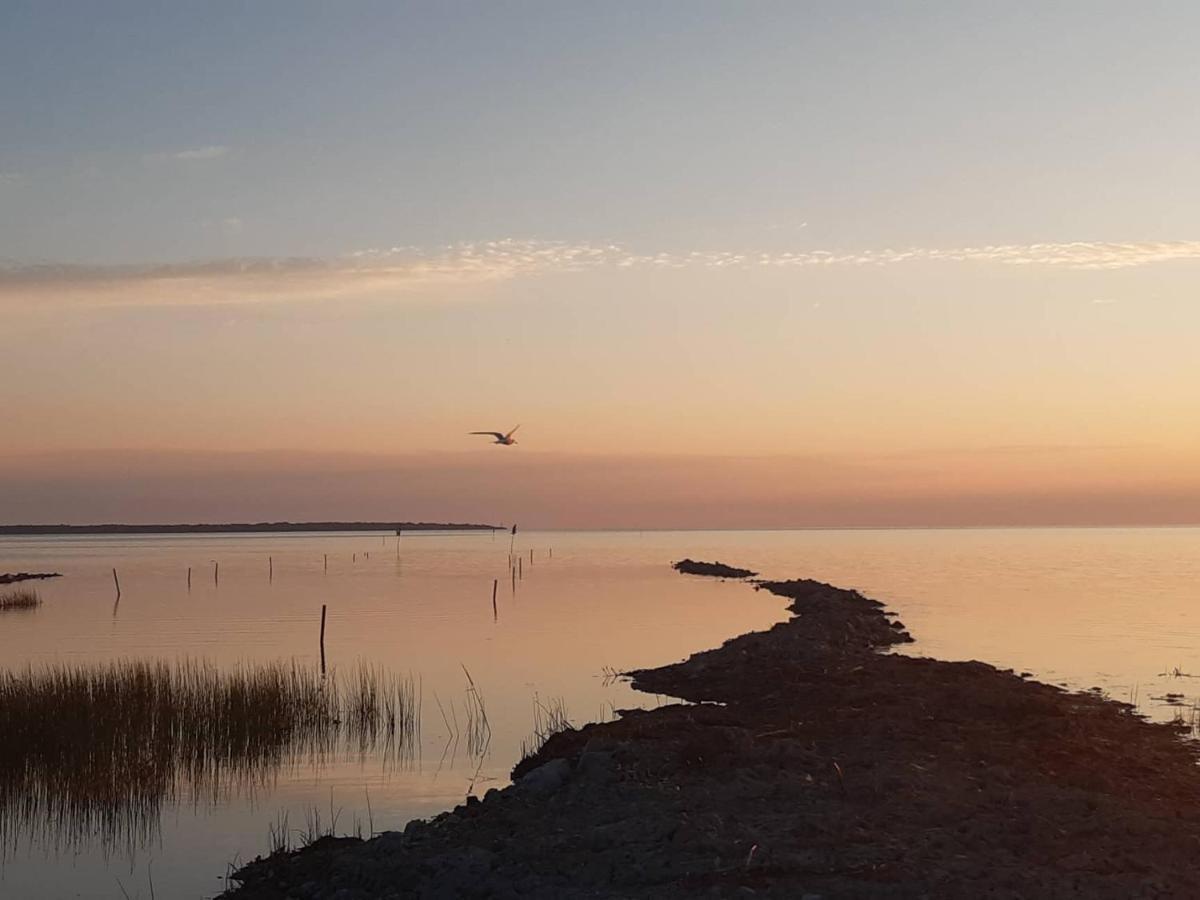 Hotel Intsu Suvemaja Liiva  Zewnętrze zdjęcie